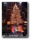 Rockefeller's tree